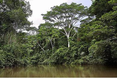 特斯拉曾邀请《她的故事》加入车载游戏 但拒绝出钱